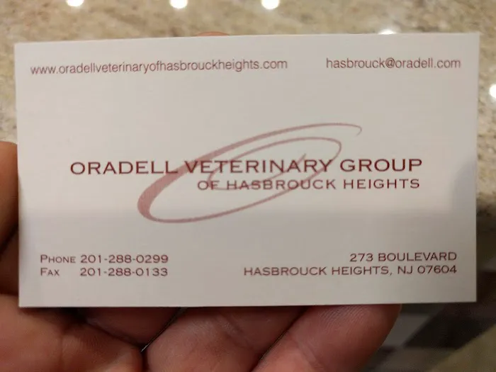 Oradell Veterinary Group of Hasbrouck Heights 5