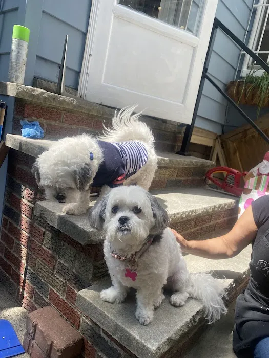 Banfield Pet Hospital 12