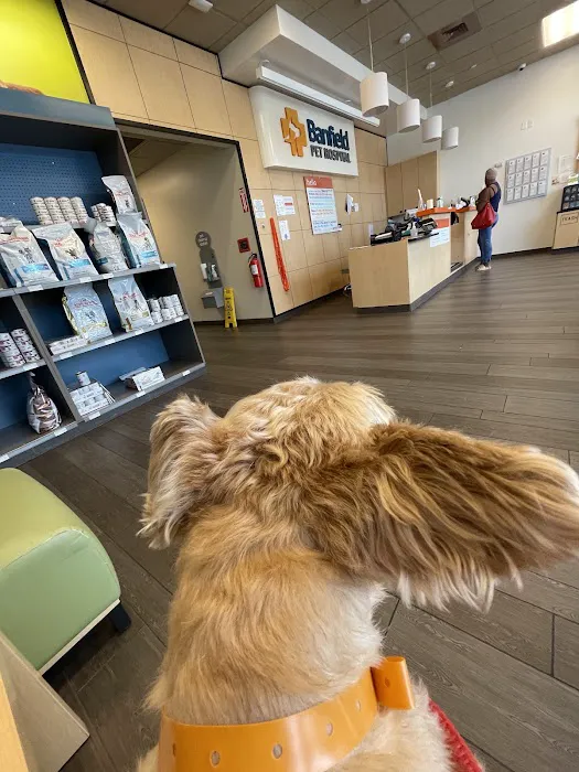 Banfield Pet Hospital 12