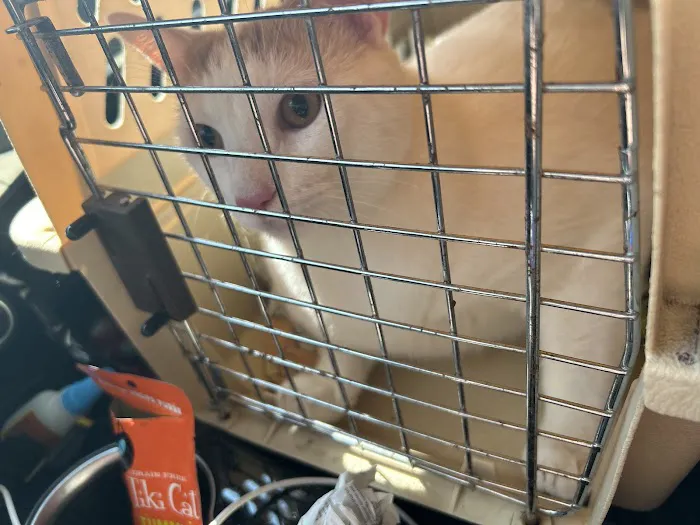 Vetco Total Care Animal Hospital 12