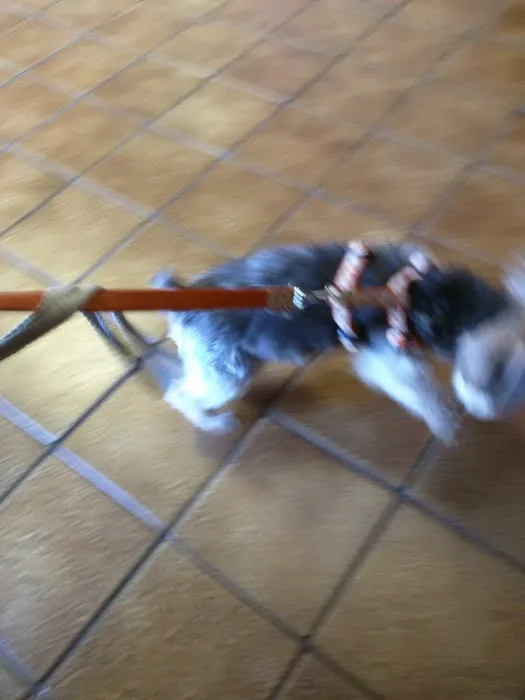 Animal Hospital Of Rutherford 12