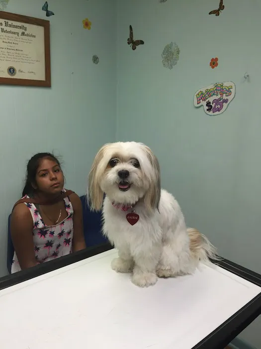 Animal Hospital Of Rutherford 12
