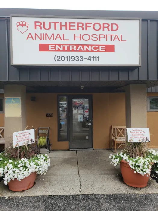 VCA Rutherford Animal Hospital 12