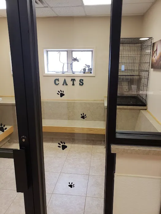 VCA Rutherford Animal Hospital 12