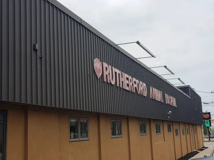 VCA Rutherford Animal Hospital 12