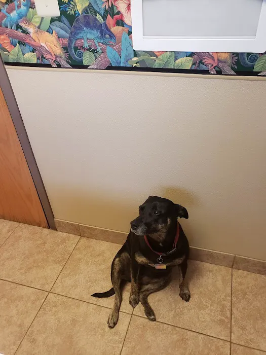 VCA Rutherford Animal Hospital 12