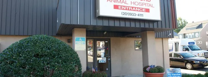 VCA Rutherford Animal Hospital 12