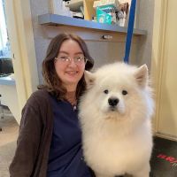 American Animal Hospital ico