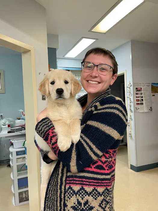 American Animal Hospital 12