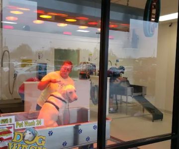 Pet Wash 24