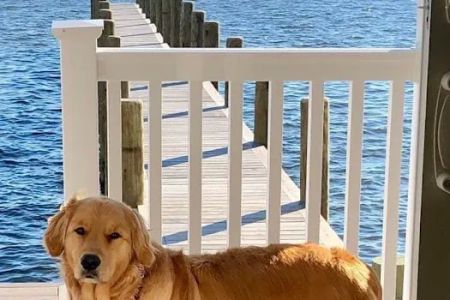 Berkeley Heights Animal Hospital