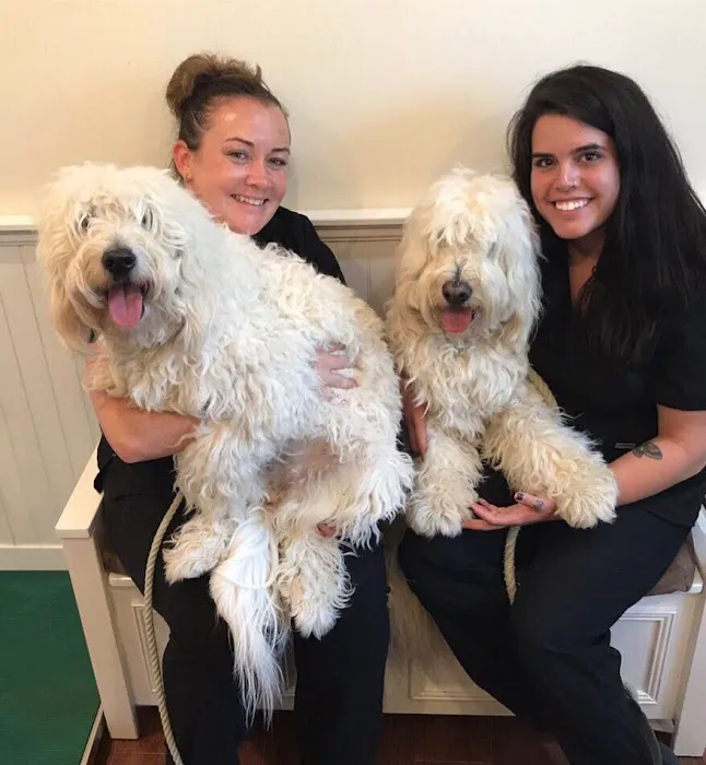 Berkeley Heights Animal Hospital 12