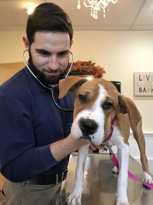 Berkeley Heights Animal Hospital 12