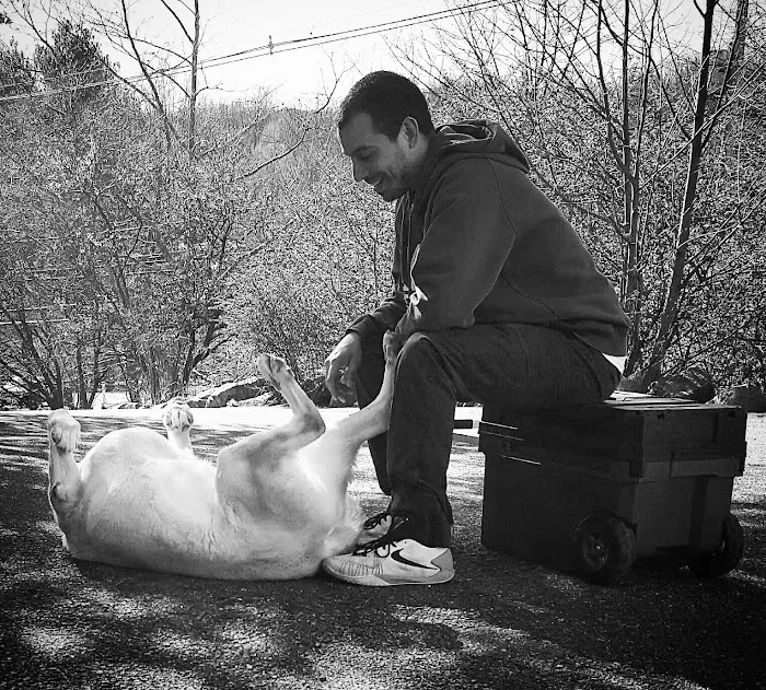 True Monarch In-Home Veterinary Service 12