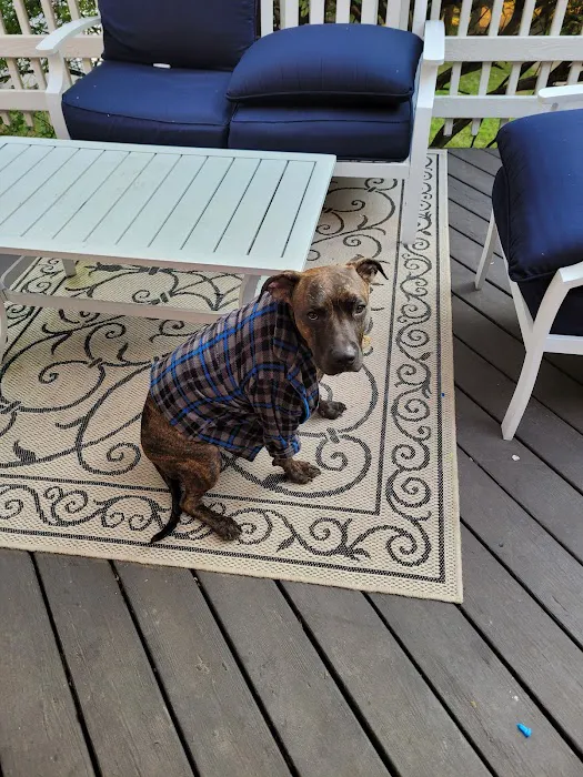Scotch Plains Animal Hospital 12