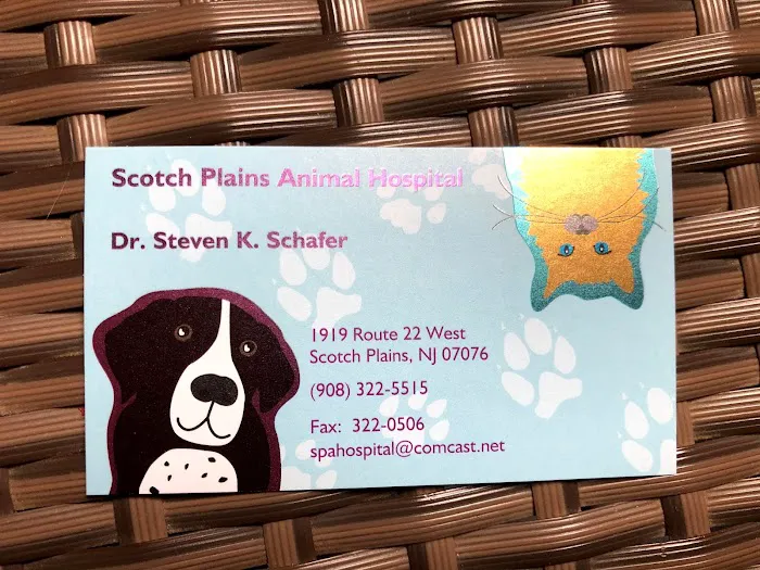 Scotch Plains Animal Hospital 12