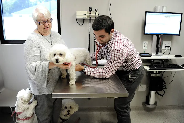 Westfield Veterinary Group 12