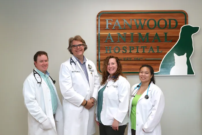 Fanwood Animal Hospital 12