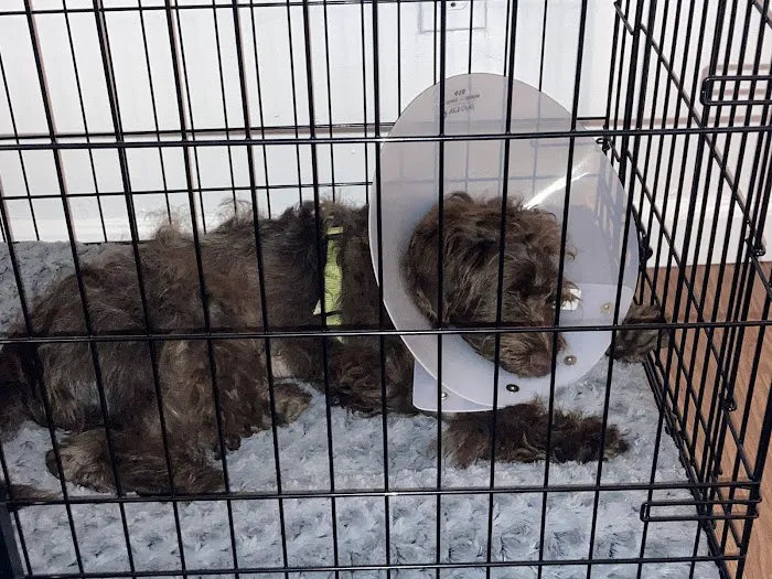 Banfield Pet Hospital 12