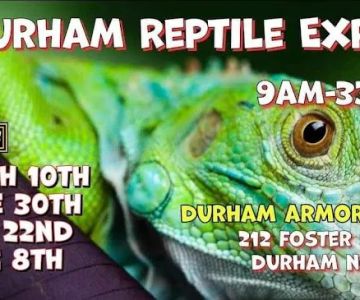 Durham Reptile Expo Show Me Reptile Show