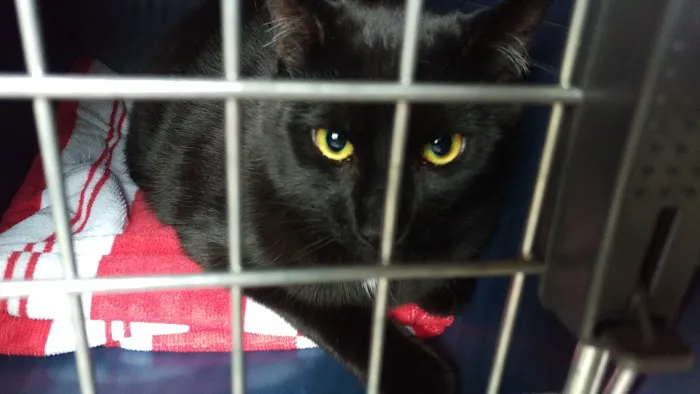 Millburn Veterinary Hospital 4
