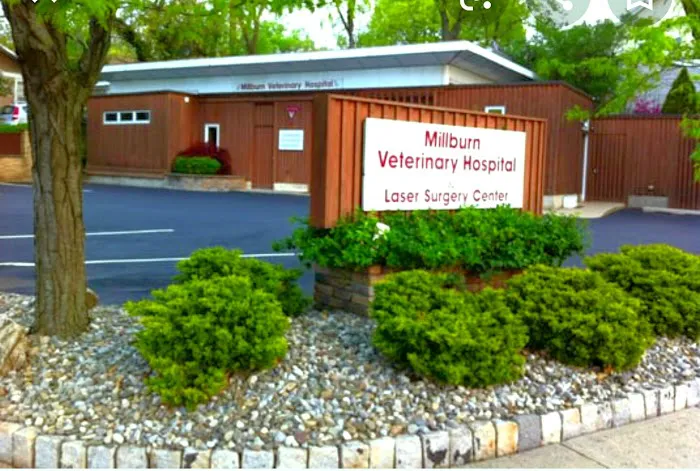 Millburn Veterinary Hospital 7