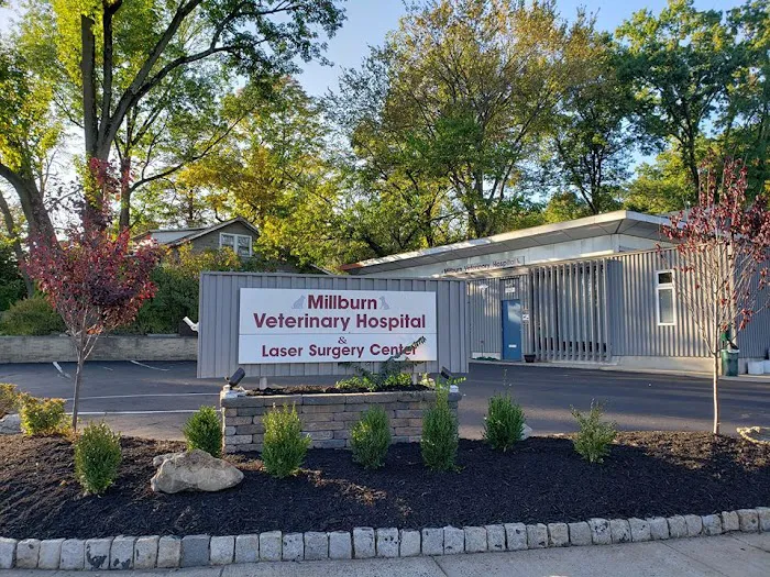 Millburn Veterinary Hospital 9