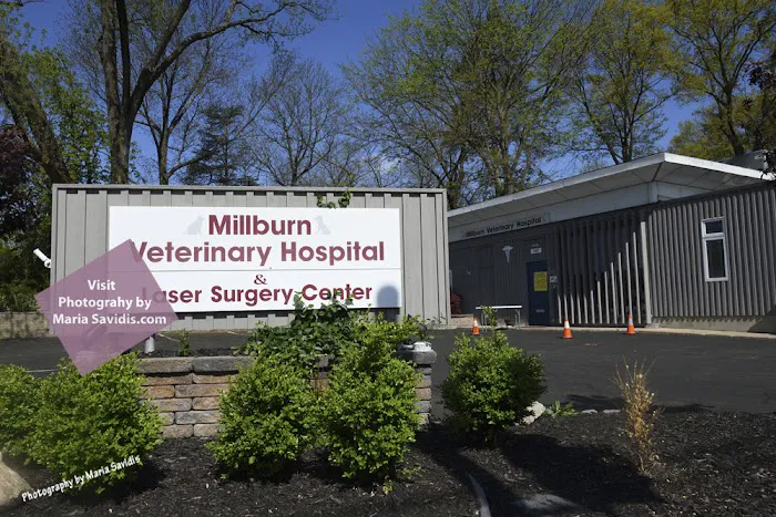Millburn Veterinary Hospital 6