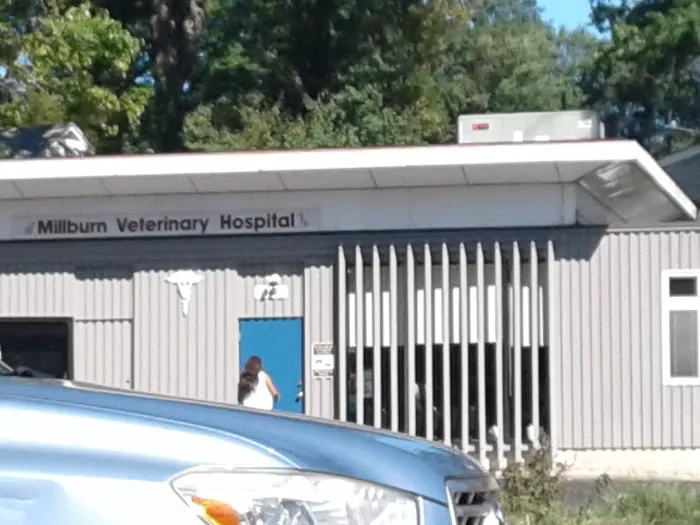 Millburn Veterinary Hospital 3