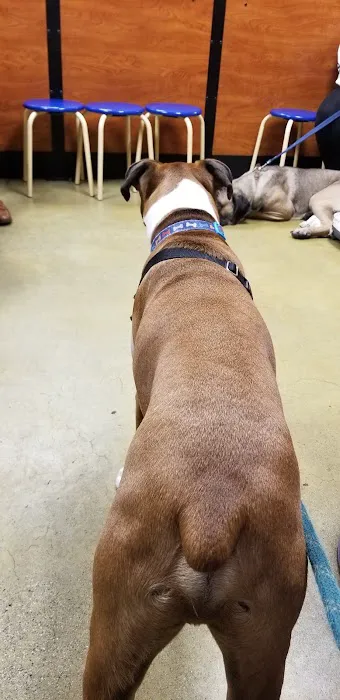 Banfield Pet Hospital 12