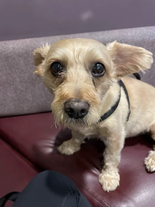Banfield Pet Hospital 12