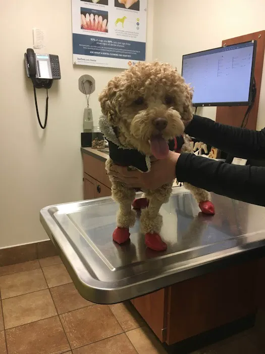 Banfield Pet Hospital 12