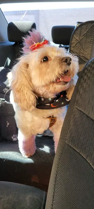 Banfield Pet Hospital 12
