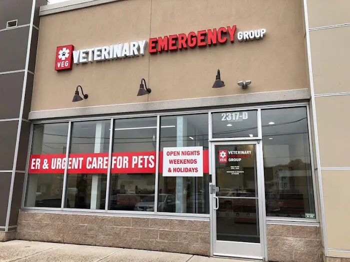 Veterinary Emergency Group 10