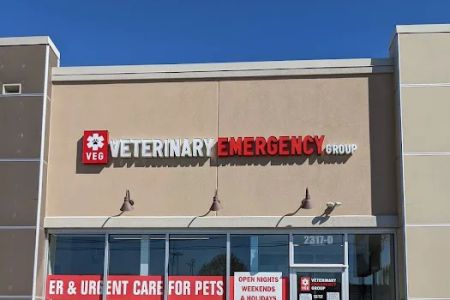 Veterinary Emergency Group
