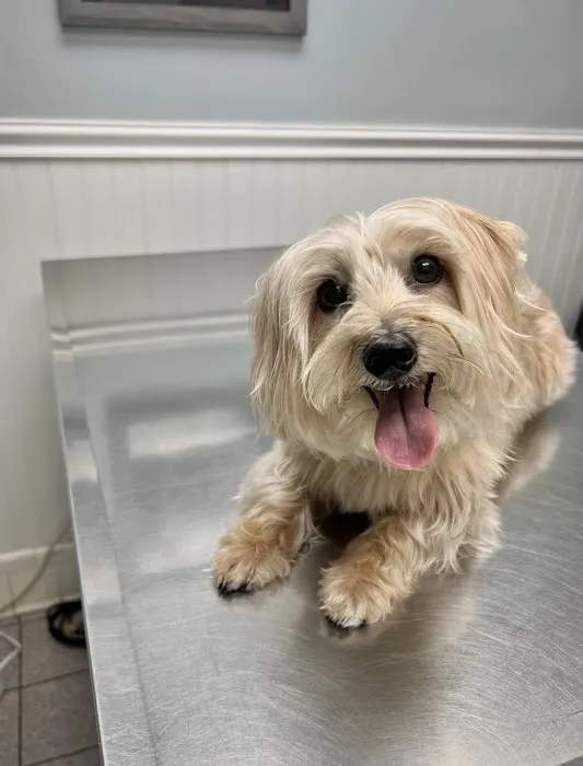 Valley Veterinary Hospital 12