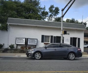 Valley Veterinary Hospital