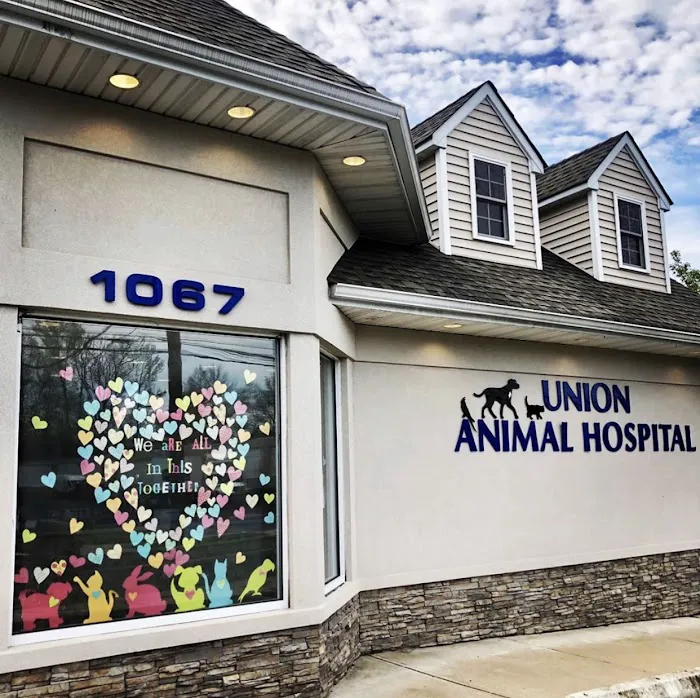 Union Animal Hospital 12