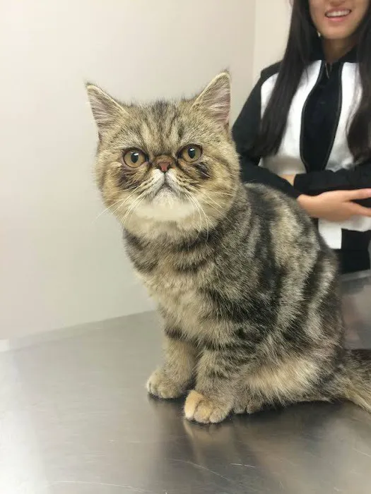 Union Animal Hospital 12