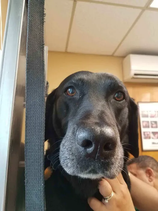 Maplewood Animal Hospital 12