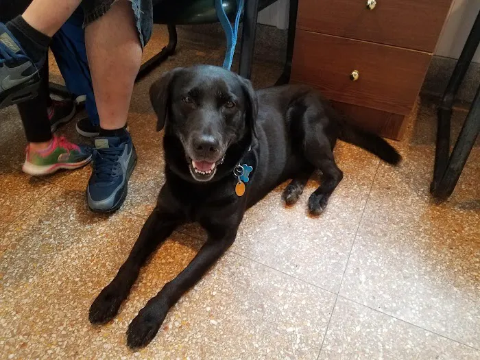 Maplewood Animal Hospital 12