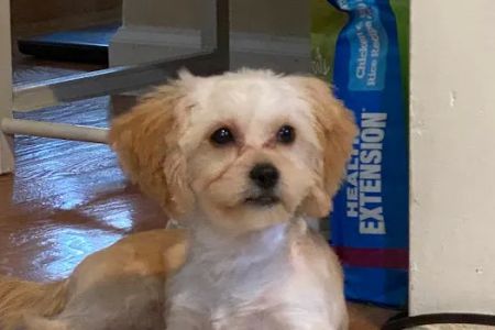 Eastland Veterinary Hospital