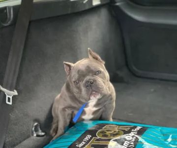 Proformance Pet Supply