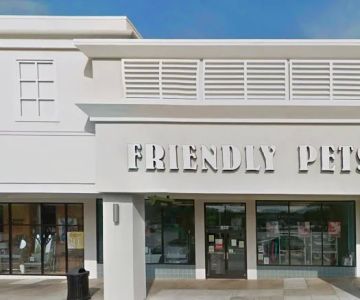 Friendly Pets