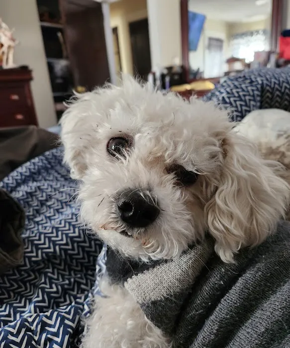 Lake Hopatcong Animal Hospital 12