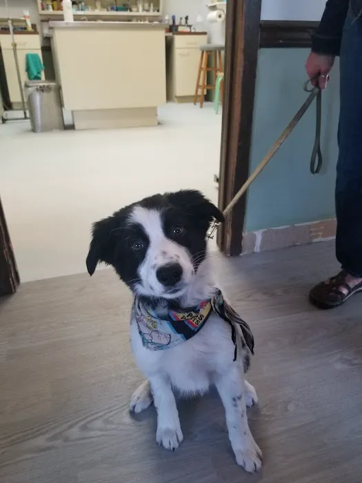 Lake Hopatcong Animal Hospital 12