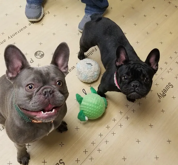 Lake Hopatcong Animal Hospital 12