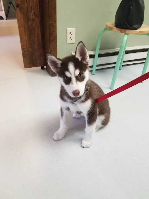 Lake Hopatcong Animal Hospital 12
