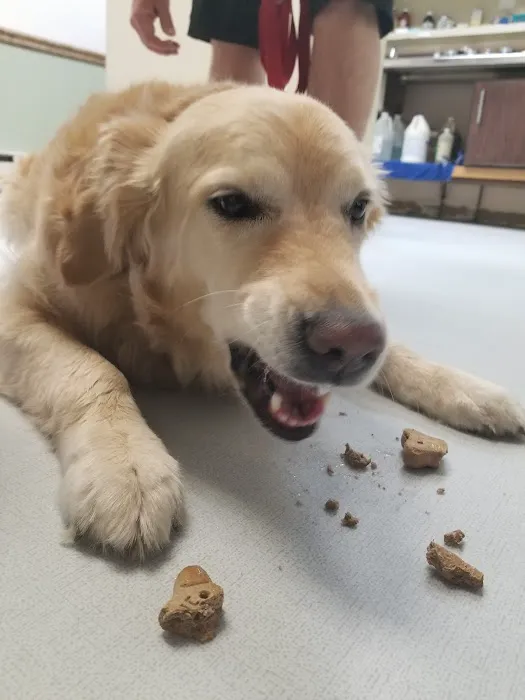 Lake Hopatcong Animal Hospital 12