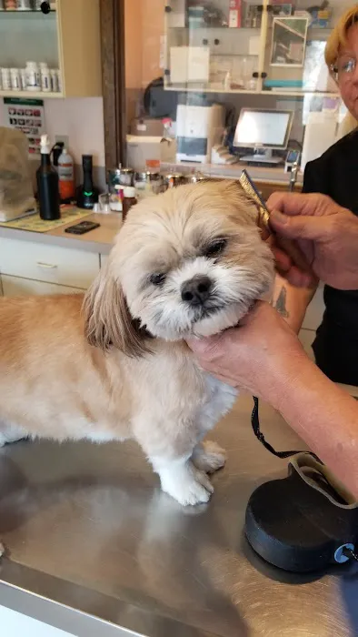 Lake Hopatcong Animal Hospital 12